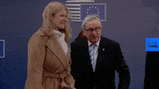 European Union GIF by euronews