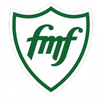 América Mineiro GIF