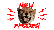 Podcast Cheetah Sticker by Violent Professional