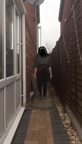 charismaliu00 giphyupload GIF