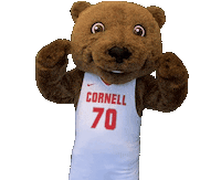 Big Red Basketball Sticker by Touchdown's Team