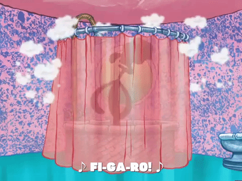 season 6 porous pockets GIF by SpongeBob SquarePants