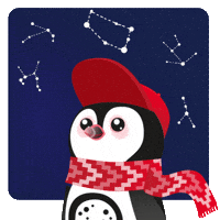 Sky Chile GIF by ProChile MKT