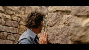 Mahesh Babu Film GIF