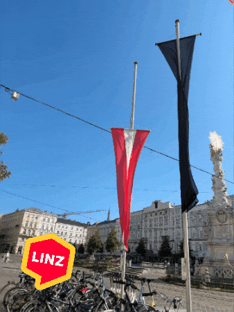 Wind Omg GIF by Linz News