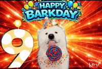 Birthday Benji GIF