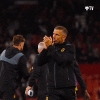 Premier League Thank You GIF by Wolves