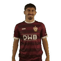 Happy Football Sticker by BFC Dynamo