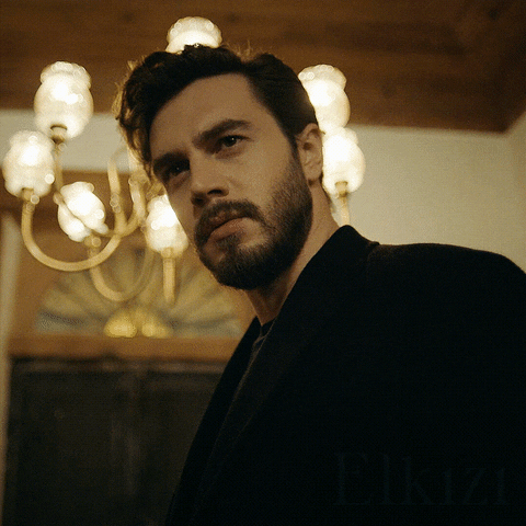 Sevda Erginci Fox GIF by Tüplü Televizyon