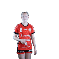 hollenstedt-handball sport handball jubel tor Sticker