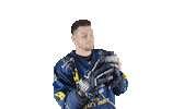 ekzellereisbaeren eishockey 08 alpshockeyleague zell am see Sticker