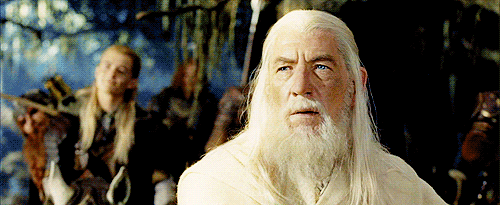 lord of the rings hobbits GIF