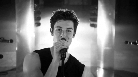 if i cant have you GIF by Shawn Mendes