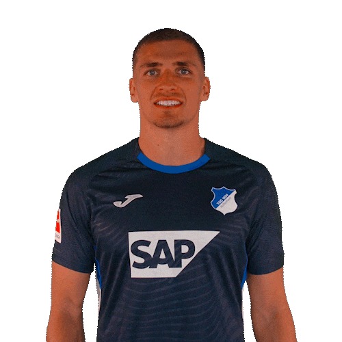 Grischa Prömel Sport Sticker by TSG Hoffenheim