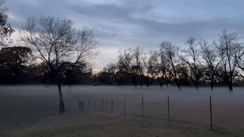 Ominous Evening Fog Rolls Across Central Alabama Field