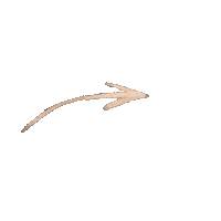 Arrow Tick Sticker