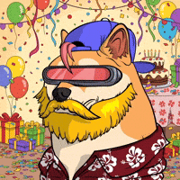 Partying Happy Birthday GIF by Doge Pound