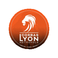 Velo Sticker by Corbas Lyon Metropole