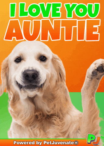 Valentines Day Love GIF by PetJuvenate - PJ