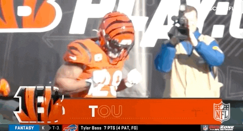 Cincinnati Bengals Football GIF by NFL