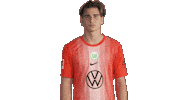 Happy Football Sticker by VfL Wolfsburg