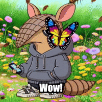 GIF by Chillo Dillo
