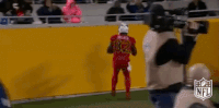 Tennessee Titans Football GIF by NFL