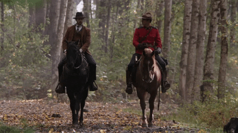 when calls the heart love GIF by Hallmark Channel