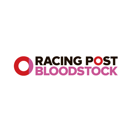 RPBloodstock giphyupload Sticker
