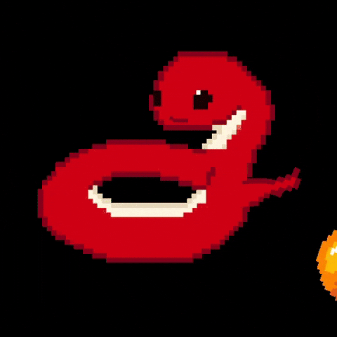 GIF by CHARLES & KEITH