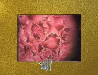 No Me Quitte Pas GIF by Orion Sun