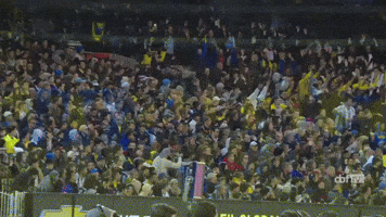 selecao brasileira football GIF by Confederação Brasileira de Futebol