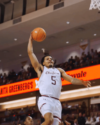 College Of Charleston Cougars GIF by Charleston Basketball