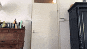 See Ya Goodbye GIF by Kilo Sale Zeeland