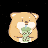 Shiba Inu Dog GIF by NICI GmbH