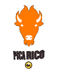 Sports Bar Salsa Sticker by Buffalo Wild Wings México