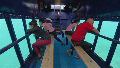 Looking The Amazing Race GIF by CBS