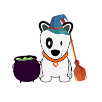 Dog Party Sticker by WPBR Marketing Digital