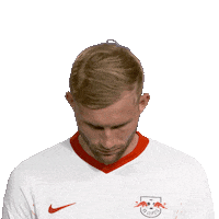 Line Up Hello Sticker by Bundesliga