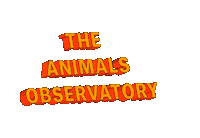 Sticker by The Animals Observatory
