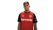 Bayer Leverkusen Sticker by Bundesliga