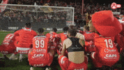 Celebrating GIF by KV Kortrijk