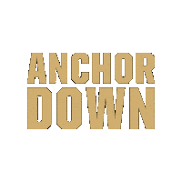 Celebrate Vanderbilt Football Sticker by Vanderbilt Athletics