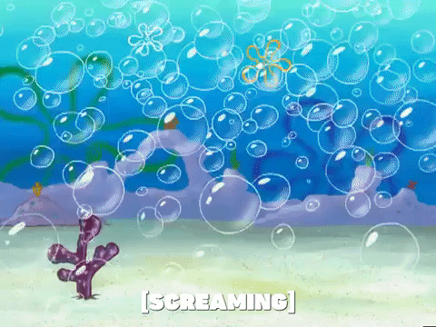 season 5 the inmates of summer GIF by SpongeBob SquarePants