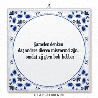Humor Troost GIF by Tegelspreuken.nl
