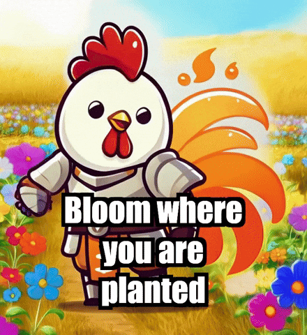 Beauty Life GIF by Zorooster