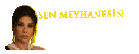 Sticker by Feraye Meyhanesi