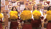 Cheer GIF by CUCougars