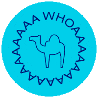 usyeverywhere usy uscj epicisrael epic2022 Sticker