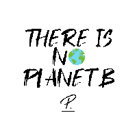 There Is No Planet B World Sticker by Personio